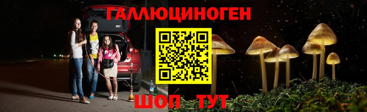 Галлюциногенные грибы прущие грибы  Вход с VPN  Кимры 